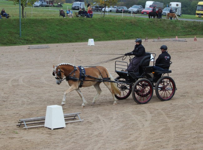 Stella M gefahren von Jessica Wächter