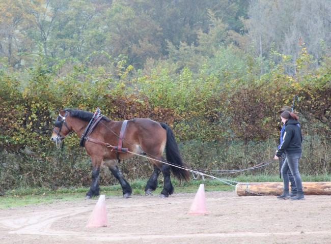Vulkan beim Schwachholzziehen
