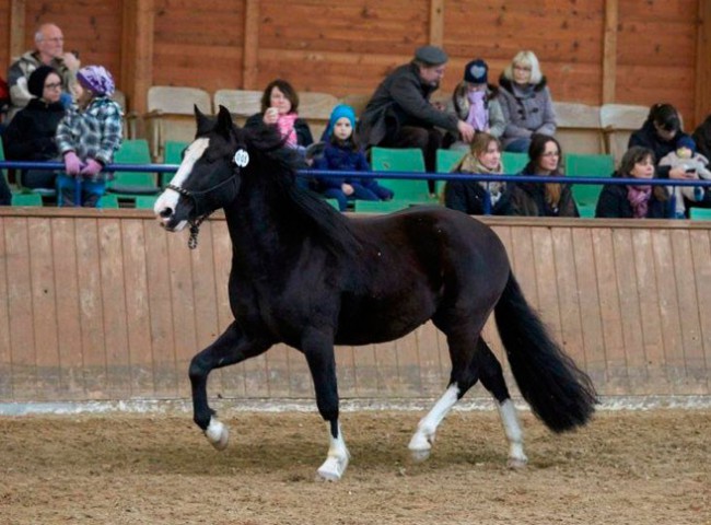 La Amanecida El Correntino