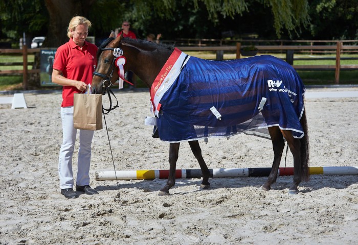 Paso Fino mit R&V Decke