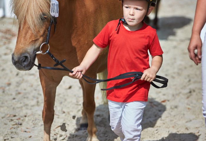 Jungzüchter bei der Arbeit