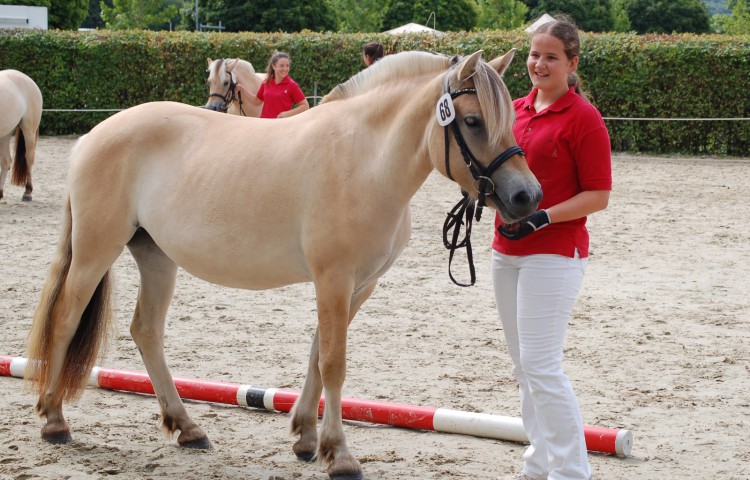 Siegerstute 2 und 3 jährige Lillet