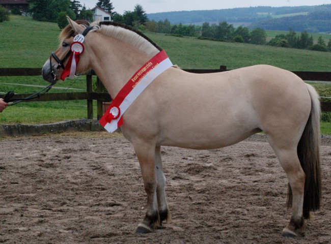Finnja