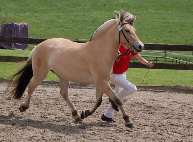 Junella