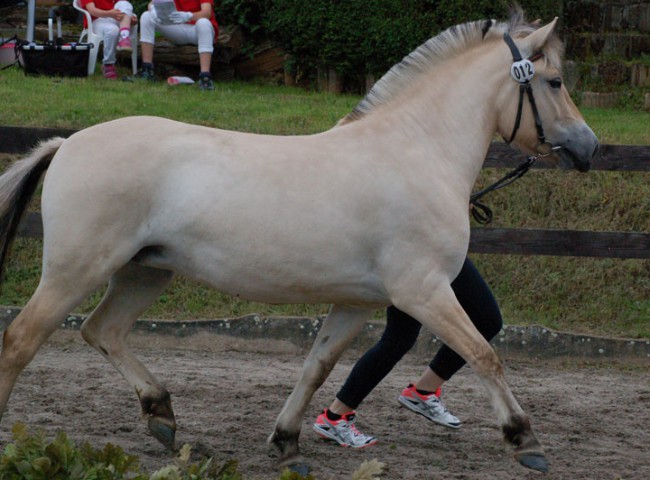 Liliona