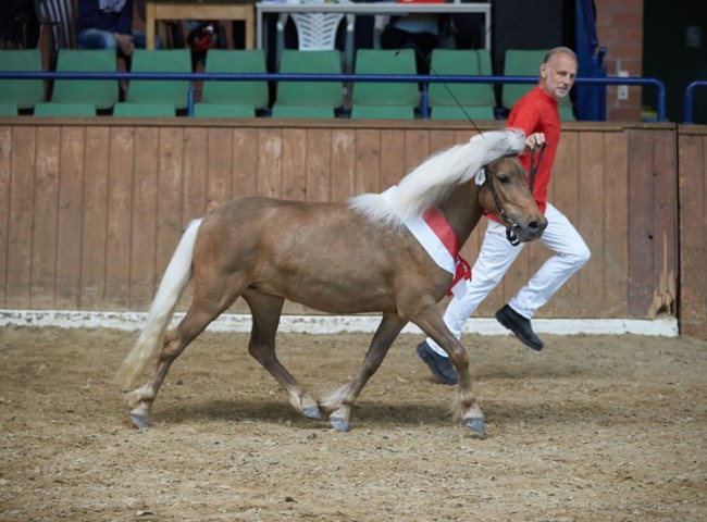 Franka vom Schedetal