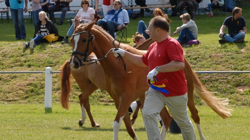 Gina Royale (Foto: Matthias Brab)