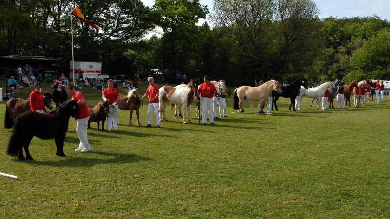 Parade der Sieger (Foto: Matthias Brab)