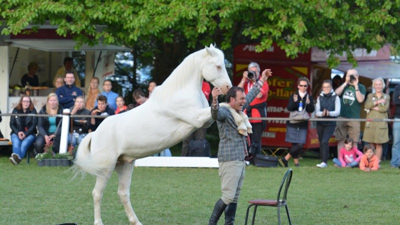Laurent Galinier „Andaji“ - Spectacle Equestre (Foto: Dr. Thomas Bachmann)