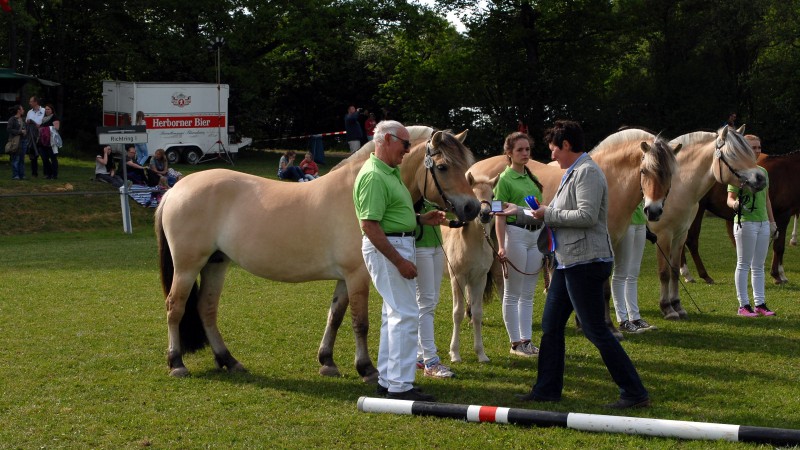 Siegerfamilie der Merle (Foto: Matthias Brab)