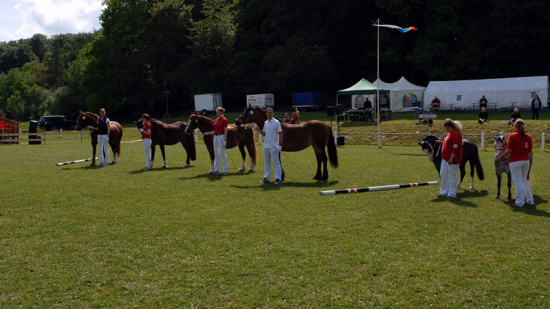 Siegerehrung der Welsh Klasse (Foto: Matthias Brab)
