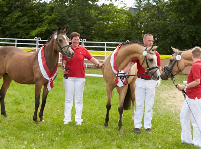 Siegerfamilie mit (von links) Nugget, Miss Marple und Dynamica 