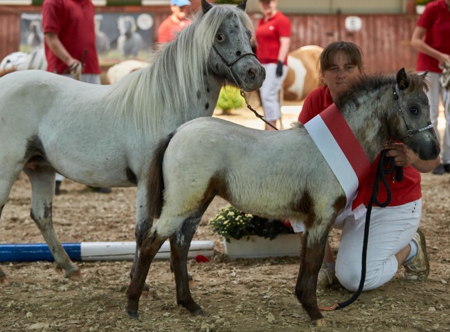 Lendorfs Kassia    Foto: Joachim Hecker