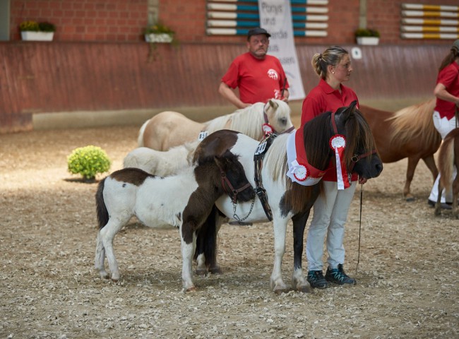 Sue vom Köppel   Foto: Joachim Hecker