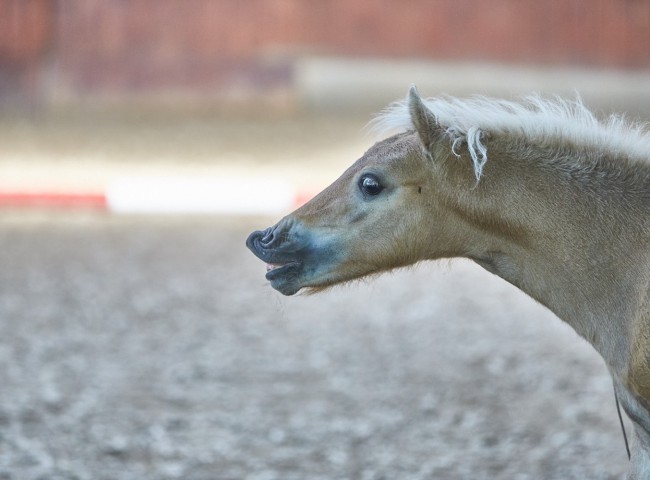 Schön war es!   Foto: Joachim Hecker