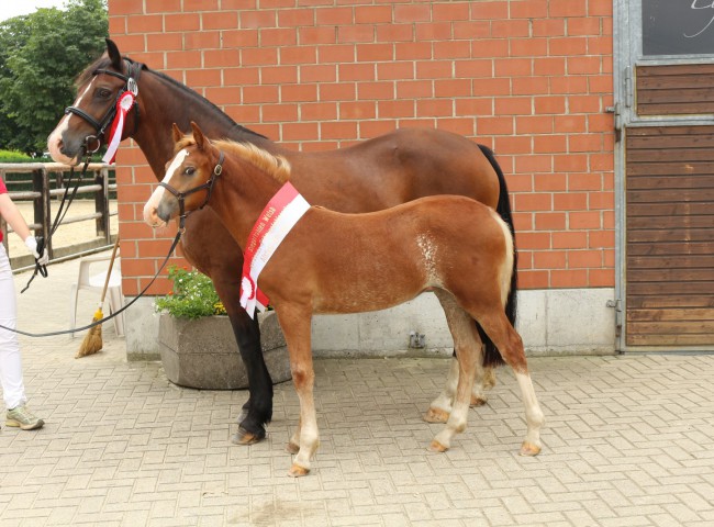 Millstone Miss April