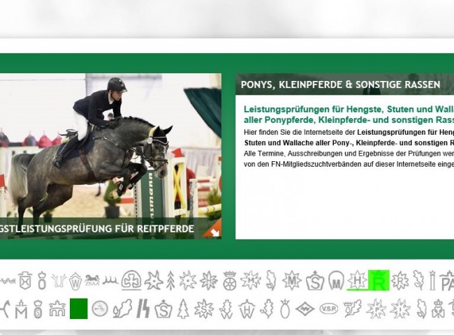 Wählen Sie den BereichPony-, Kleinpferde- und sonstige Rassen aus