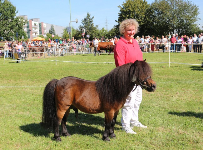 Jeune Noble vom Dennenhof