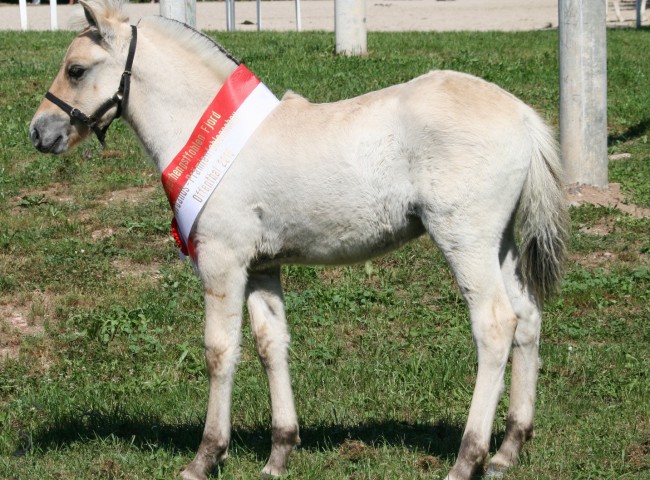 Donito Foto: Claudia Eichner