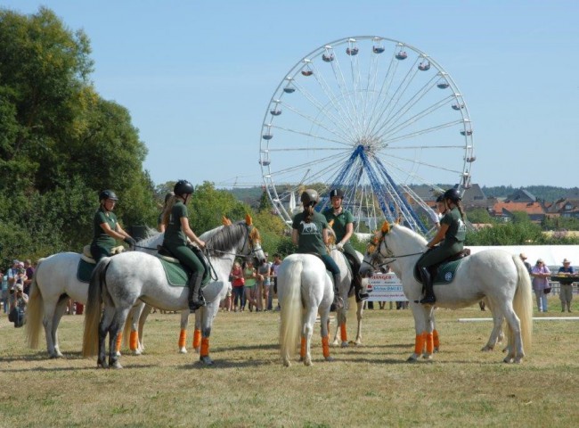 Connemara Quadrille Foto: Dr. Bachmann