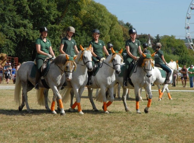 Connemara Quadrille Foto: Dr. Bachmann