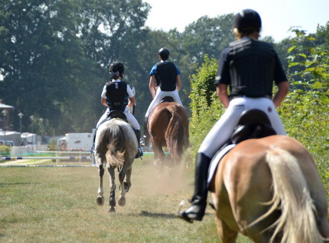 Galopp in der Gruppe Foto: Friederike Rosenthal
