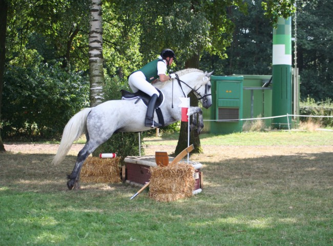 Sissi Wirth mit Kinzighausen Hazy Majesto Foto: Anja Schollmeier