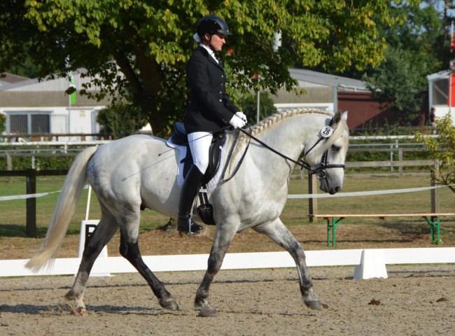 Sissi Wirth mit Kinzighausen Hazy Majesto Foto: Friederike Rosenthal