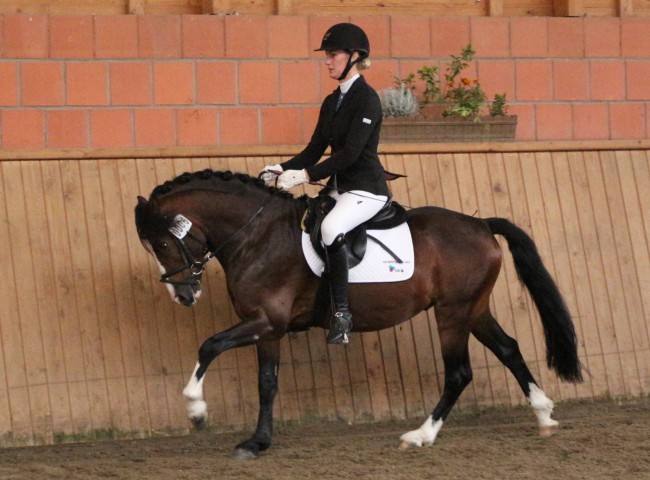 Maifix HLP Erbach2016