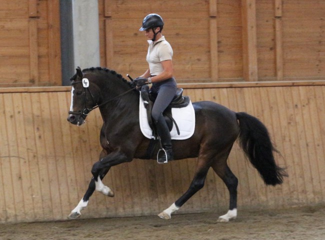 Vedet HLP Erbach 2016