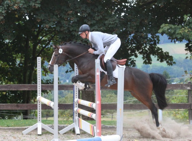 Vedet Parcours HLP Erbach 2016