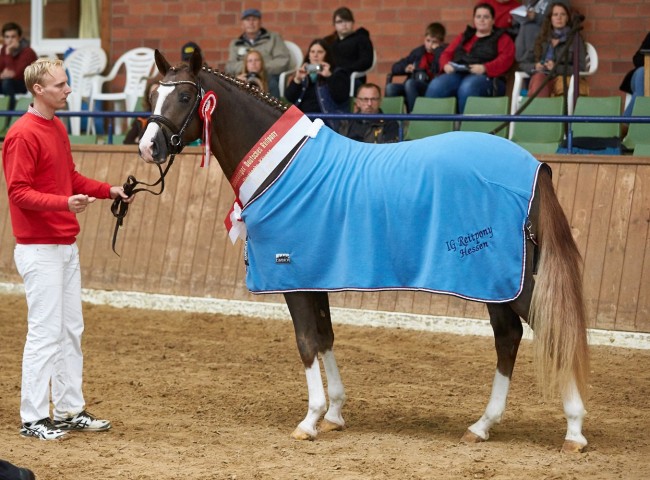 Numerus Clausus  Foto: Joachim Hecker
