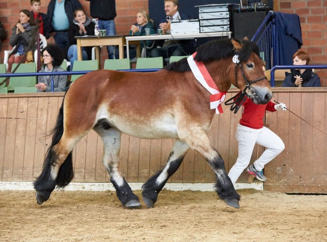 Oskar   Foto: Joachim Hecker