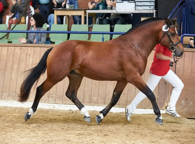 Eros   Foto: Joachim Hecker