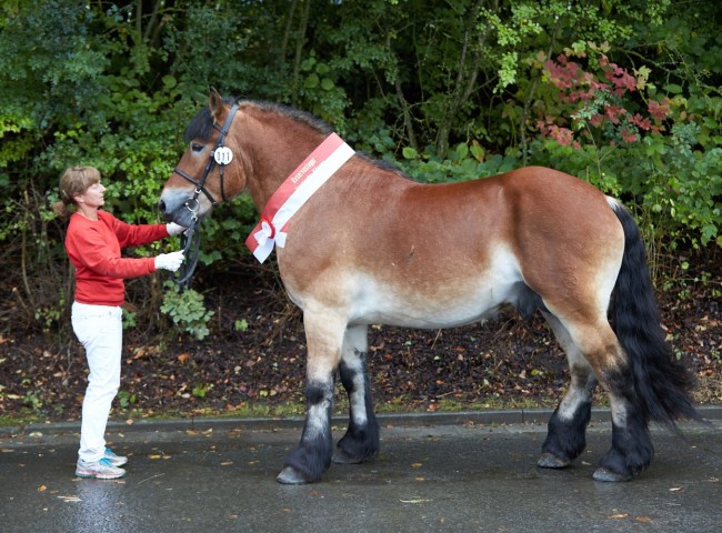 Oskar   Foto: Joachim Hecker