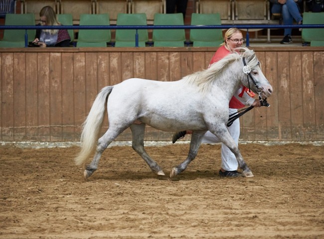 Duco v.d. Schutlakenweg   Foto: Joachim Hecker