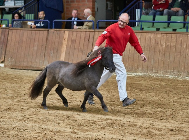 Hui Buh aus dem Veischedetal   Foto: Joachim Hecker