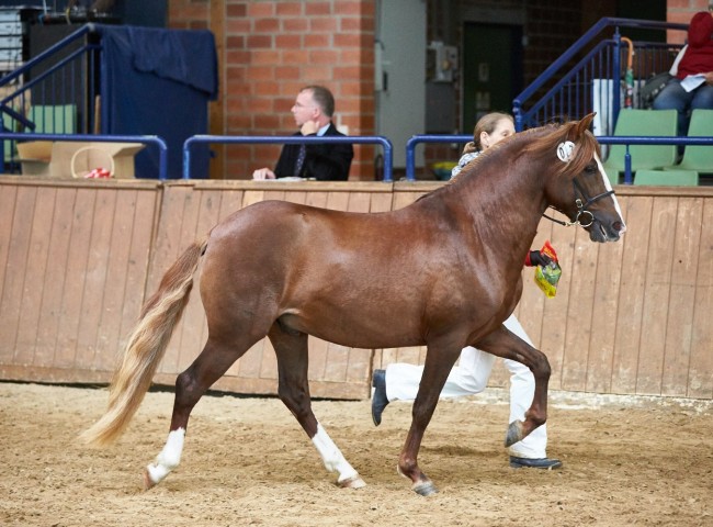 Plácido KM    Foto: Joachim Hecker