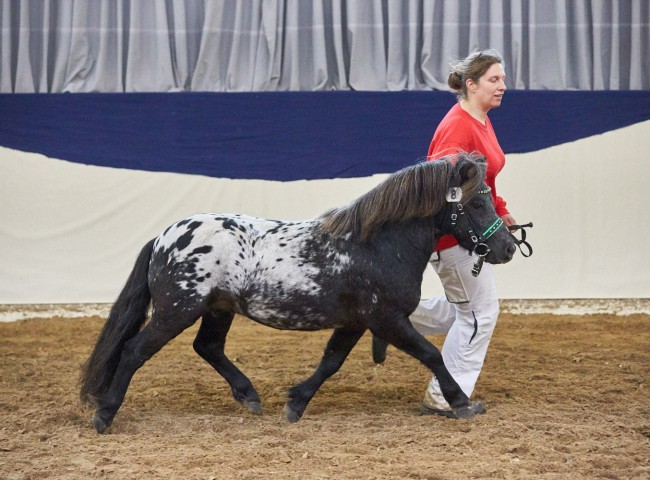 Sputnik Foto: Joachim Hecker