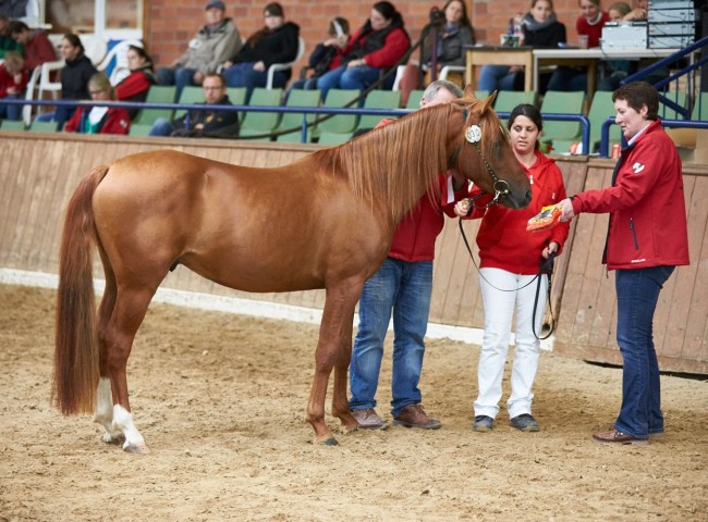 Tilsim   Foto: Joachim Hecker
