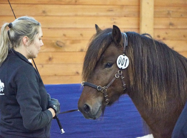 Gjörvi vom Steinbuckel Foto: Joachim Hecker