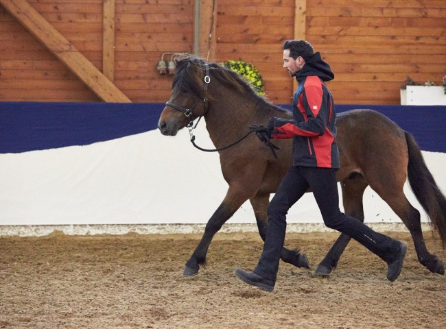 Frábær von der Elschenau Foto: Joachim Hecker