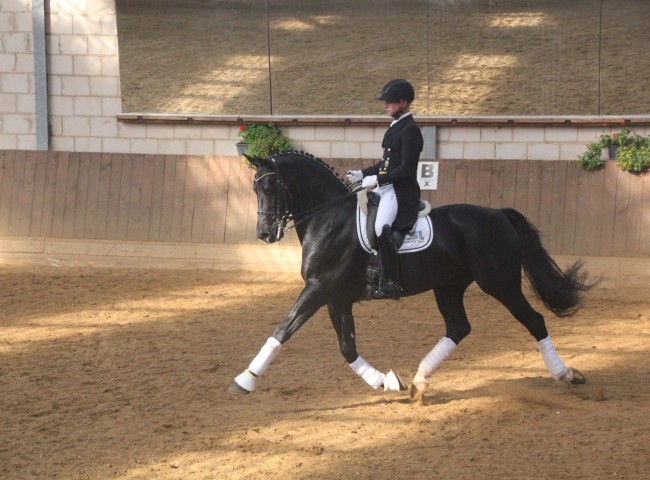 Bossler`s Eolith unter Heinrich Braehler