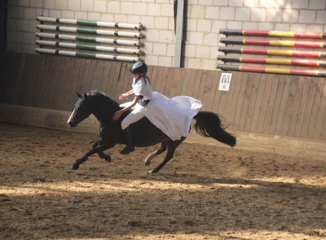 Mystic Shira (Welsh B) mit Lisa Bachmann