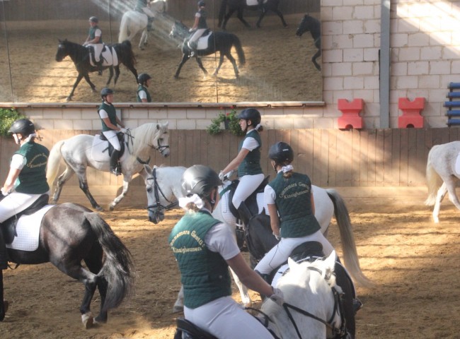 12er-Quadrille des Connemara Gestuets Kinzighausen