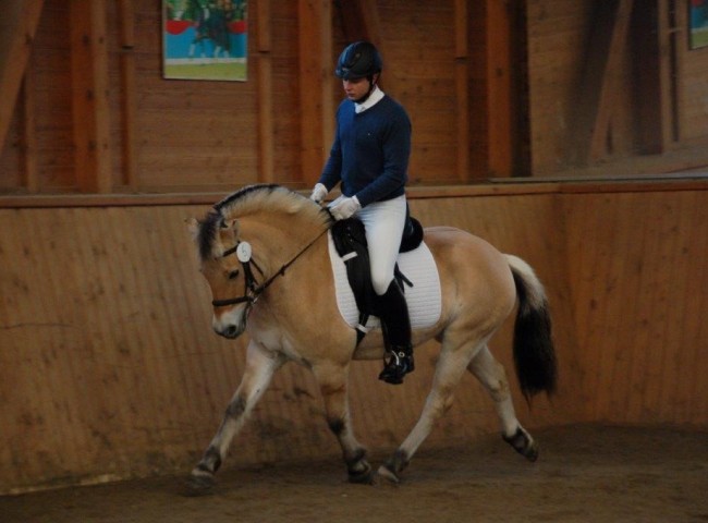 Junika - Endnote 7,90 Foto: Jochen Noesinger