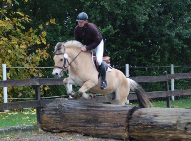 Junika - Endnote 7,90 Foto: Jochen Noesinger