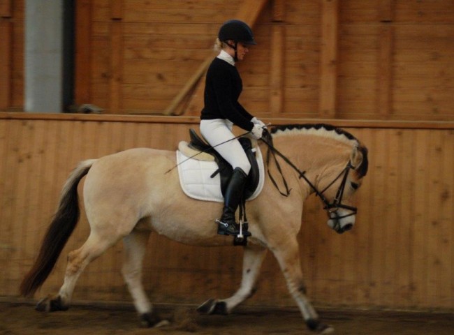 La Querida - Endnote 7,65 Foto: Jochen Noesinger