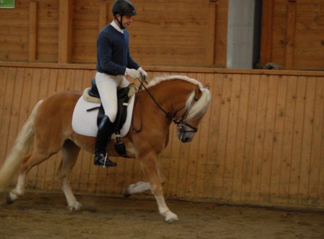 Santana - Endnote 8,16 Foto: Jochen Noesinger