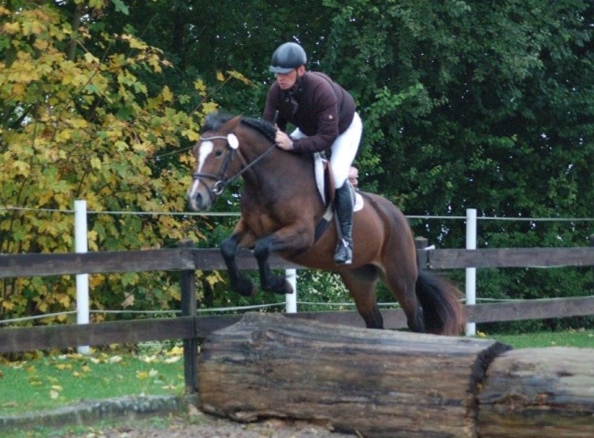 TerraAllegra - Endnote 8,09 Foto: Jochen Noesinger